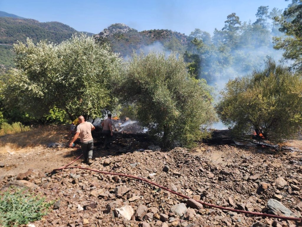 Marmaris  Marmaris orman yangını muğla yangın yangın kotrol altına alındı