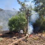 Marmaris Marmaris orman yangını muğla yangın yangın kotrol altına alındı