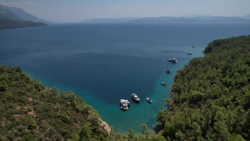 Muğla Büyükşehir Belediyesi Muğla Büyükşehir Belediyesi dava Muğla Büyükşehir Belediye Başkanı Ahmet Aras çevre davası