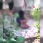marmaris kız çocuğu marmaris kız kavgası marmaris kız darp marmaris kavga marmaris kızların darbedilmesi