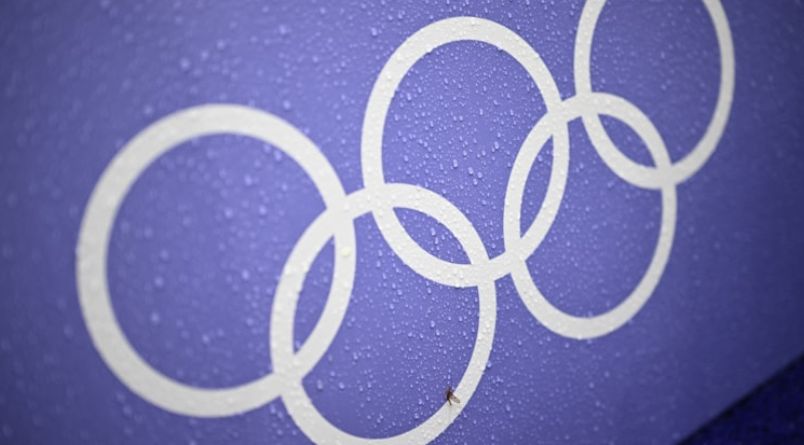 trt spor yıldız canlı, 7 Ağustos olimpiyat programı, olimpiyatlarda bugün ne var, paris olimpiyatları, olimpiyat oyunlarında türkiye programı ve sonuçları