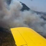 Germencik Germencik yangın Germencik son dakika aydın yangın Germencik orman yangını