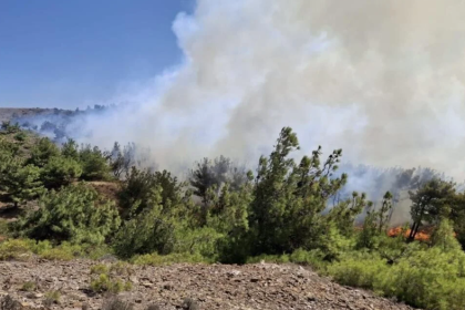 Bozcaada, Bozcaada yangın, Bozcaada orman yangını, Bozcaada haber, Bozcaada'da yangın