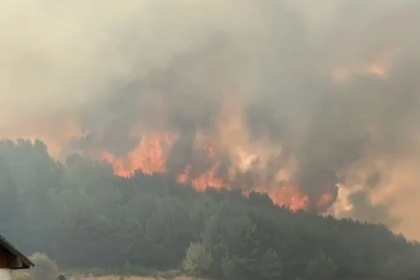 kızılcahamam yangın Kızılcahamam Kızılcahamam orman yangını ankara yangın ankara son dakika