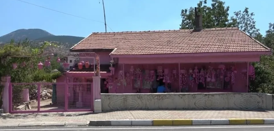 sakine teyze pembe
sakine akkul
pempeli teyze
sakine pembe
sakine akkul pempe renk
