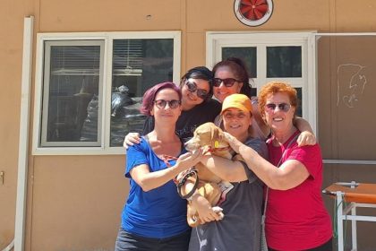 Marmaris Belediyesi Marmaris Belediyesi Hayvan Rehabilitasyon Merkezi Marmaris Belediyesi sokak hayvanları