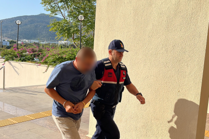 bodrum köpek bodrum köpeği vuran köpek tüfekle vuran bodrum bodrum sokak köpeği