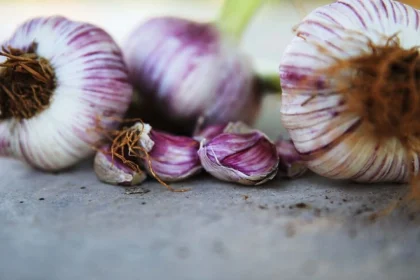 ula sarımsağı ula coğrafi işaret Muğla coğrafi işaret MUTSO sarımsak MUTSO yöresel