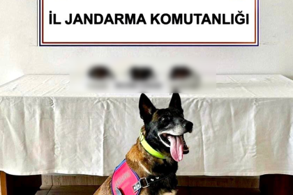 bodrum uyuşturucu operasyonu