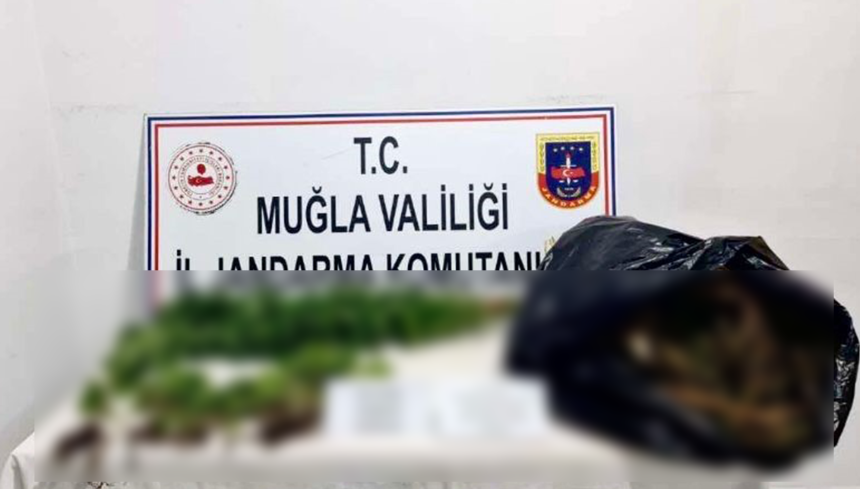 Seydikemer Muğla İl Jandarma Komutanlığı Seydikemer uyuşturucu operasyonu seydikemer uyuşturucu