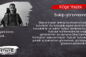 Körleşme