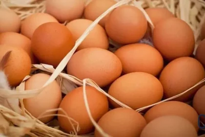 Yumurta, yumurta Afyonkarahisar zam, zam, yumurta fiyatları ne kadar, tane yumurta