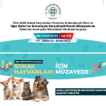 sokak hayvanları için müzayede Muğla Büyükşehir Belediyesi müzayede