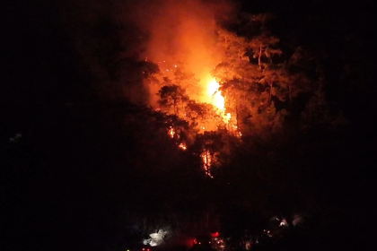 bodrum orman yangını gölköy yangın Muğla orman yangını yangın büyümeden söndürüldü