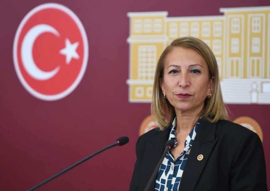 CHP Muğla Milletvekili Süreyya Öneş Derici Yunan botları Yunan botları Türk karasuları