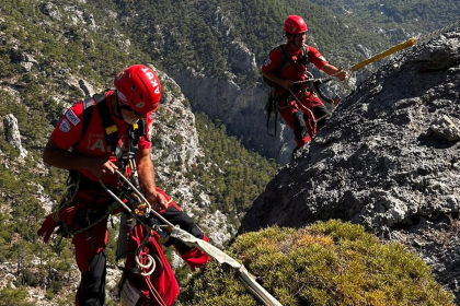 babadağ kedi babadağ akut fethiye kedi kurtarıldı babadağda kedi kurtarıldı