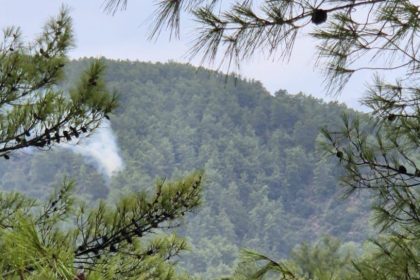 yıldırım kaynaklı yangın muğla orman yangını