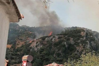 Menteşe orman yangını