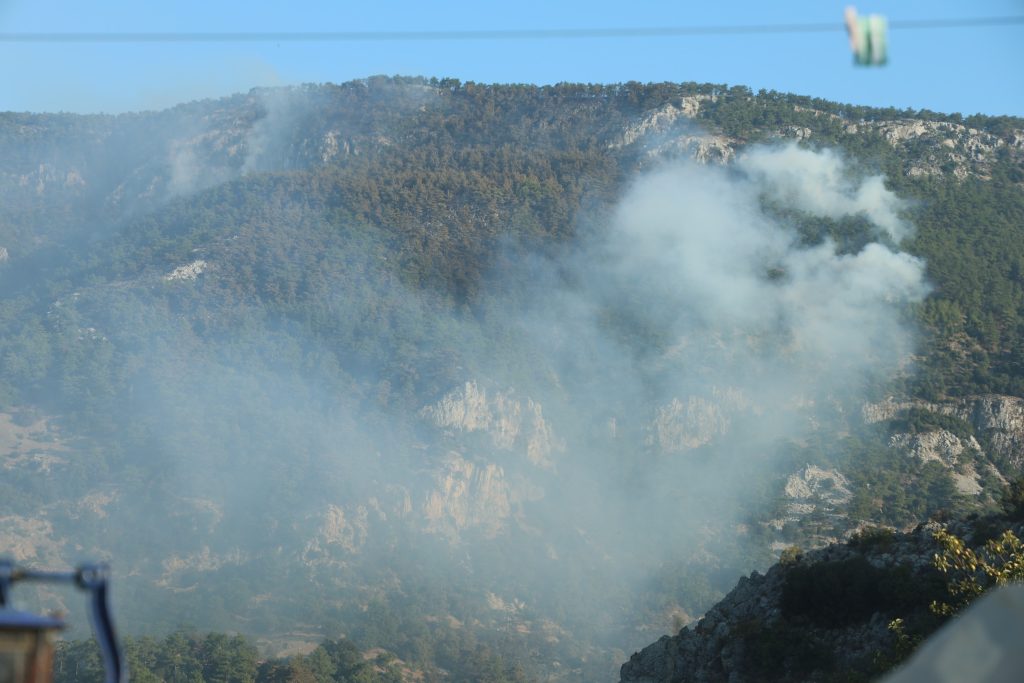 menteşe orman yangını muğla orman  muğla yangı yangın devam ediyor