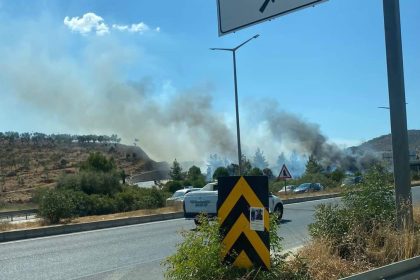 Milas orman yangını muğla