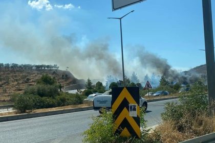 Muğla orman yangını