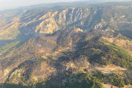 muğla orman yangını menteşe