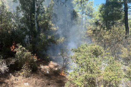 Menteşe orman yangını menteşe yangın muğla yangın