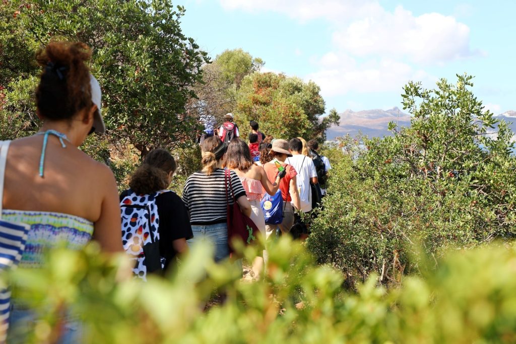 bodrum temizlik bodrum kıyı temizliği  bodrum erasmus temizlik kıyı temizliği bodrum erasmus kıyı temizliği