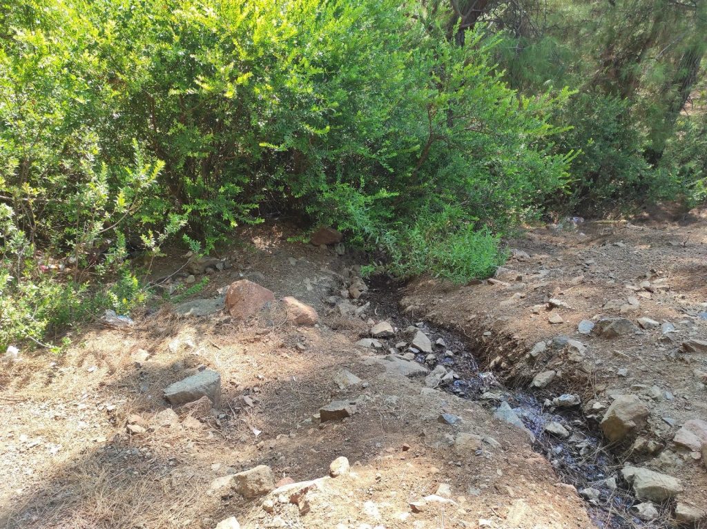 Fethiye ormana bırakılan bebek  Fethiye bebek Karaçulha Mahallesi Fethiye orman