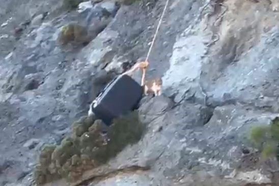 babadağ kedi babadağ akut fethiye kedi kurtarıldı babadağda kedi kurtarıldı