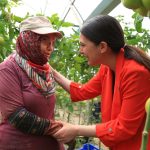 CHP Muğla Milletvekili Gizem Özcan Bakan Yumaklı CHP Muğla Milletvekili Gizem Özcan soru soru önergesi İşlenmeyen Tarım Arazilerinin Tarımsal Amaçlı Kiraya Verilmesine İlişkin Yönetmelik