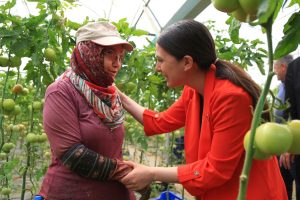 CHP Muğla Milletvekili Gizem Özcan Bakan Yumaklı CHP Muğla Milletvekili Gizem Özcan soru soru önergesi İşlenmeyen Tarım Arazilerinin Tarımsal Amaçlı Kiraya Verilmesine İlişkin Yönetmelik