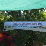 deştin çimento fabrikası Uluslararası Deştin Kültür ve Doğal Yaşam Festivali deştin festival deştin festival tamamlandı