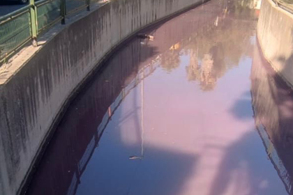 Marmaris marmaris mor dere Marmaris Muski MUSKİ mor