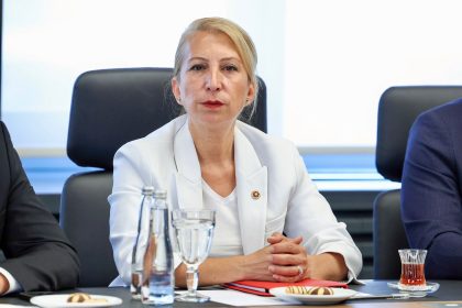 CHP Muğla Milletvekili Süreyya Öneş Derici bodrum orman arazisi Süreyya Öneş Derici açıklama