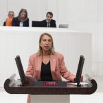 CHP Muğla Milletvekili Süreyya Öneş Derici Bodrum imar araştırma önergesi Bodrum için araştırma önergesi