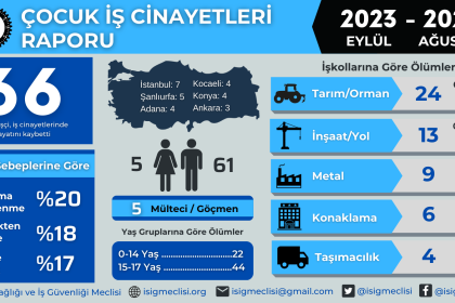 İSİG Meclisi Çocuk işçiliği Çocuk İşçilik İş Cinayetleri Raporu