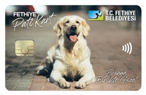 fethiye pati kart pati kart fethiye belediyesi pati kart alim karaca pati kart uygulaması