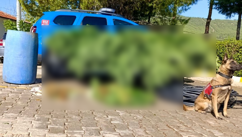 menteşe uyuşturucu operasyon