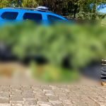 menteşe uyuşturucu operasyon