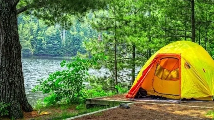 türkiye kamp alanları türkiye'deki kamp alanları ücretsiz kamp alanları türkiye ücretsiz kamp alanı türkiyenin en güzel kamp yeri