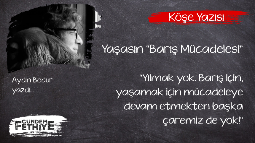 aydın bodur Barış Mücadelesi yazı köşe yazısı
