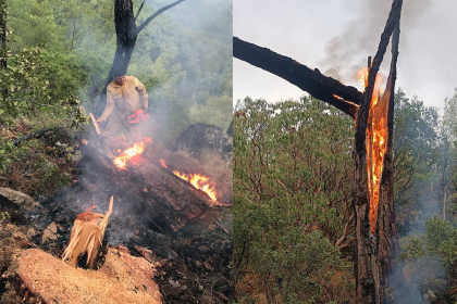 muğla orman yangını muğla yangın yıldırım yangını yıldırım kaynaklı yangın muğla orman yangınları