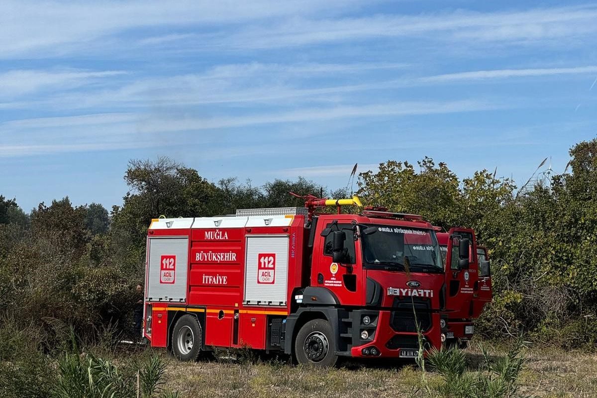 Datça orman yangını, datça yangın, datça kızlan orman yangını, datça kızlan yangın, datça karaağaçlık orman yangın