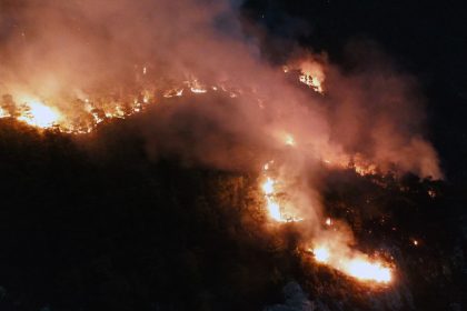menteşe Menteşe yangın muğla orman yangını Menteşe orman yangını