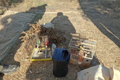 ula yasa dışı avcılık muğla avcılık Ula