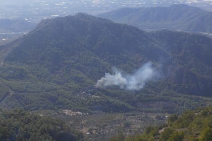 dalaman orman yangını