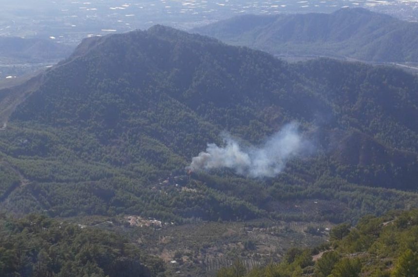 dalaman orman yangını