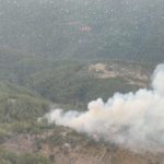 orman yangını söndürüldü Milas yangın kontrol altına alındı Milas orman yangını