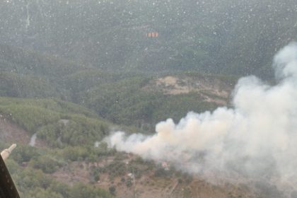 orman yangını söndürüldü Milas yangın kontrol altına alındı Milas orman yangını